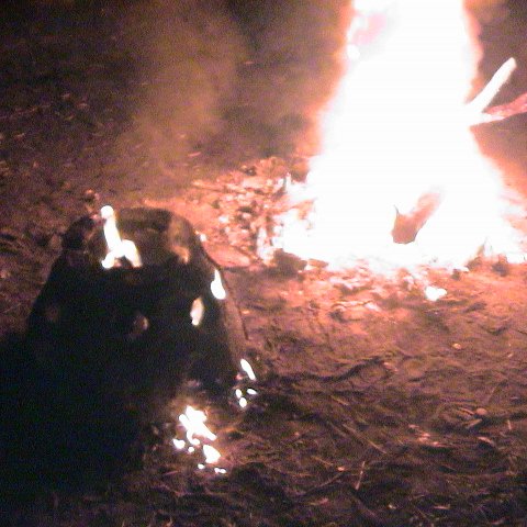 dsc00168 dsc00168