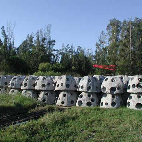 Lake Ockeechobee Reef Ball Project