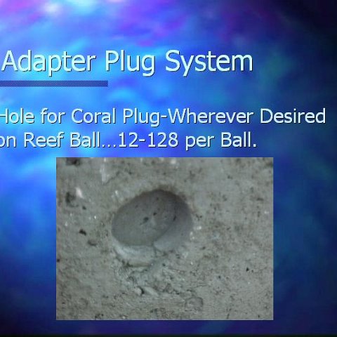 slide10 slide10