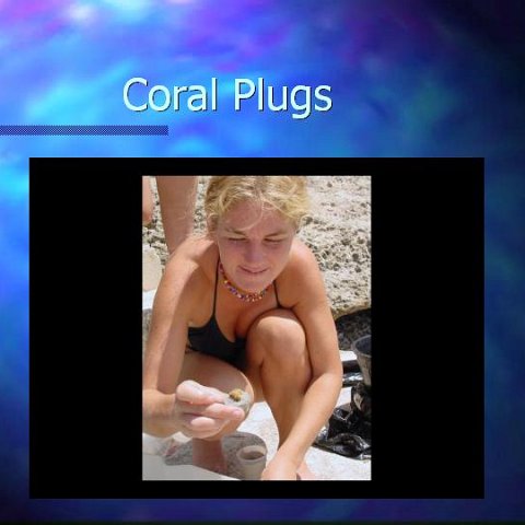 slide13 slide13