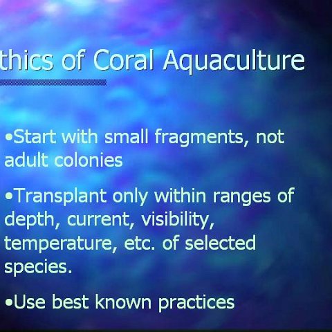 slide19 slide19