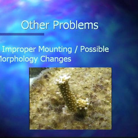 slide27 slide27