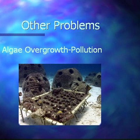 slide28 slide28