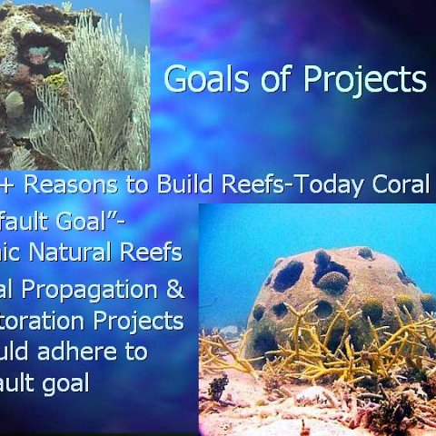 Marine Oramentals Conference