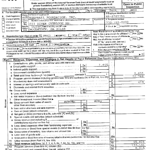 irsform990page1 irsform990page1