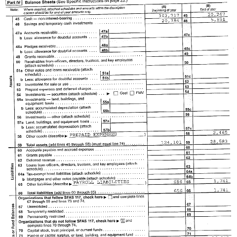 irsform990page3 irsform990page3
