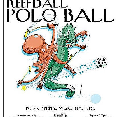 reefballpolofundraisers reefballpolofundraisers