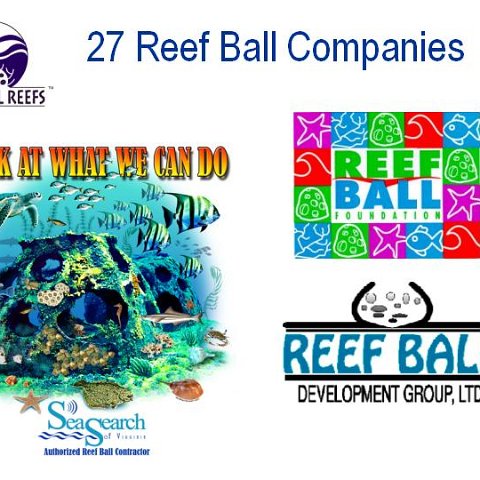 June 2003 Sierra Club Reef Ball Presentation