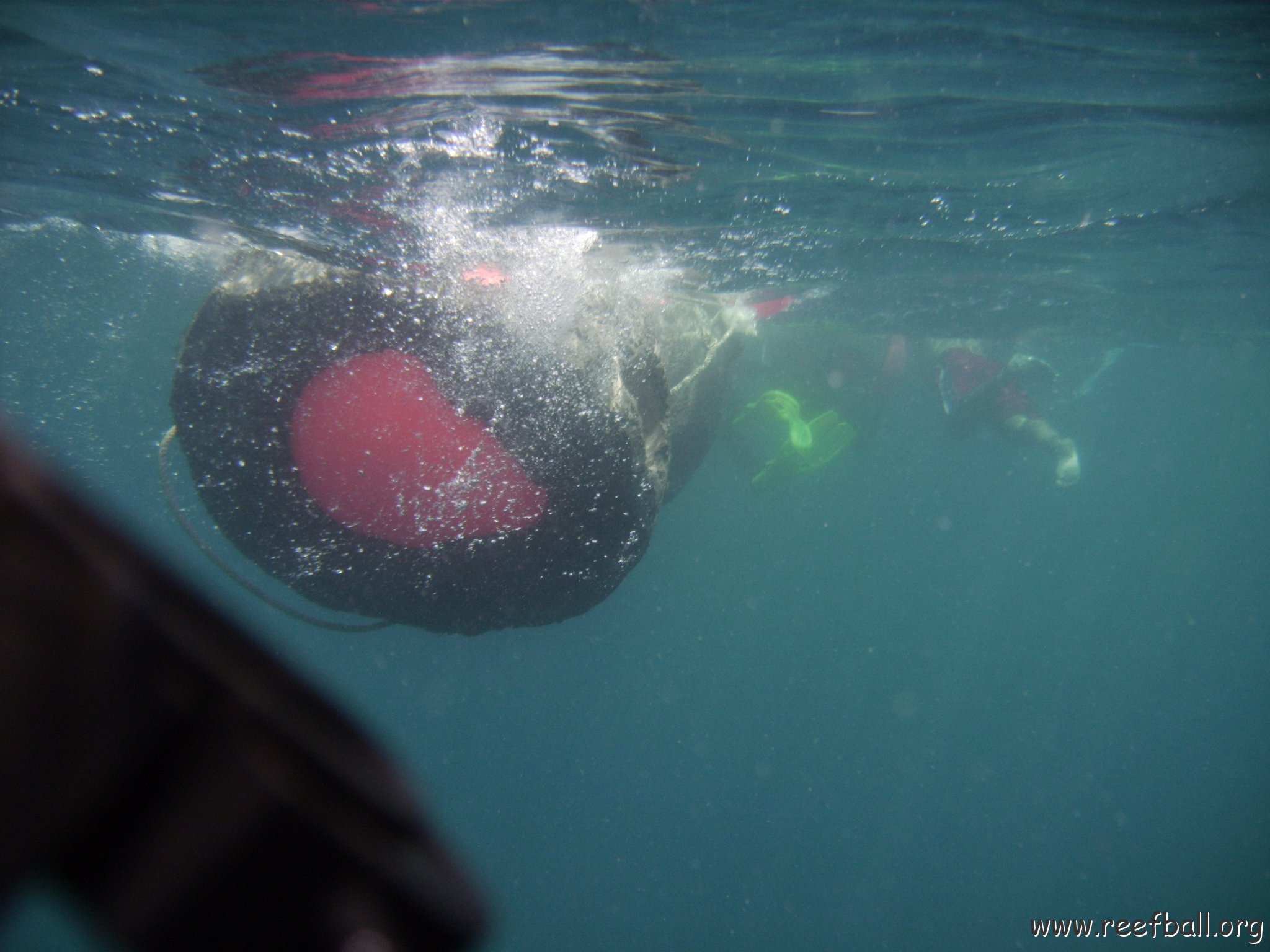 Reef Ball Guatemala Pana Divers 26 Feb. 06 053