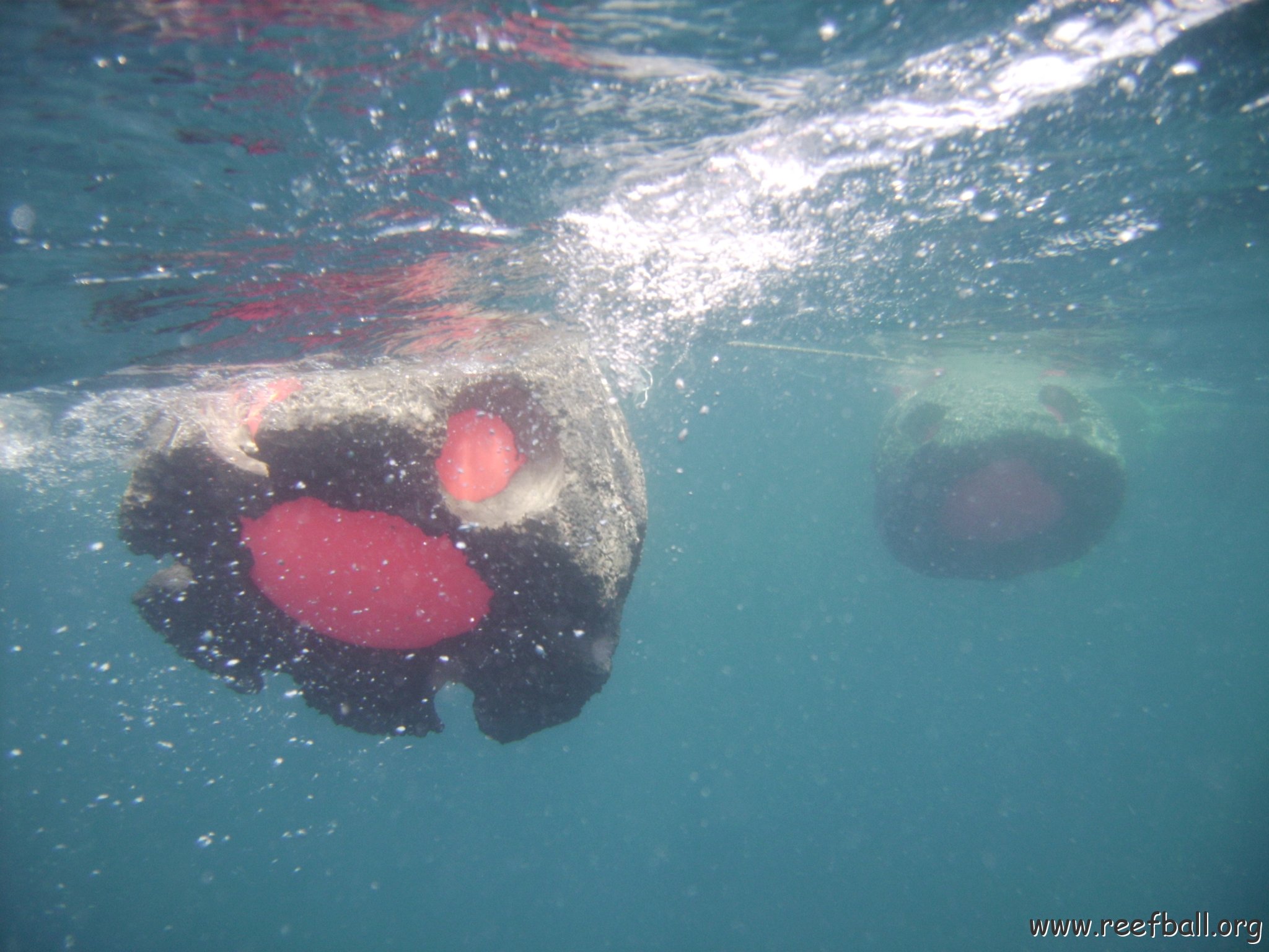 Reef Ball Guatemala Pana Divers 26 Feb. 06 054