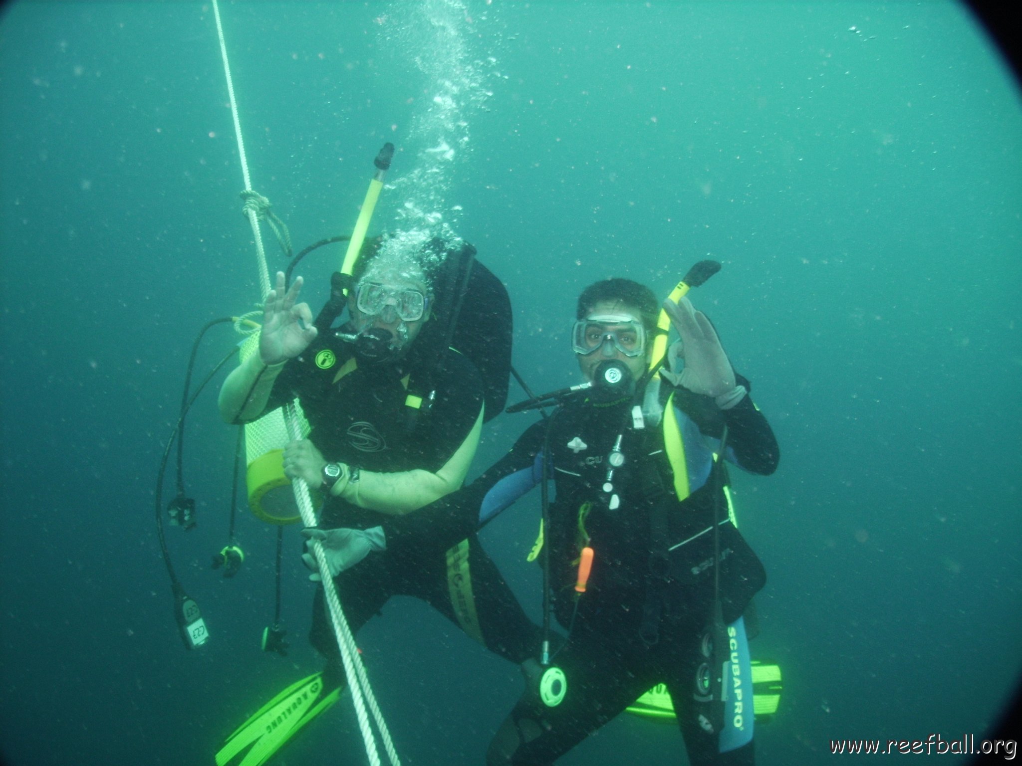 Reef Ball Guatemala Pana Divers 26 Feb. 06 072