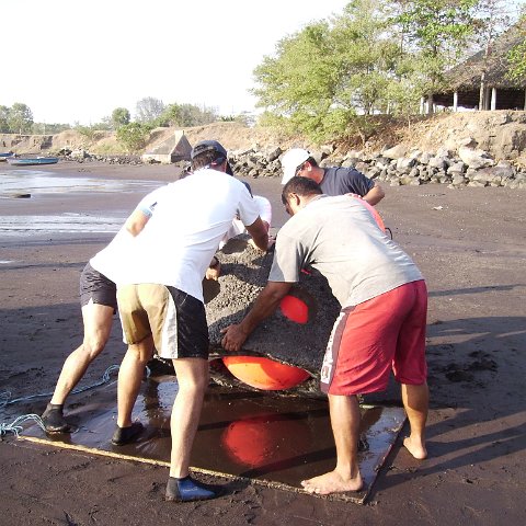 Reef Ball Guatemala Pana Divers 26 Feb. 06 024 Reef Ball Guatemala Pana Divers 26 Feb. 06 024