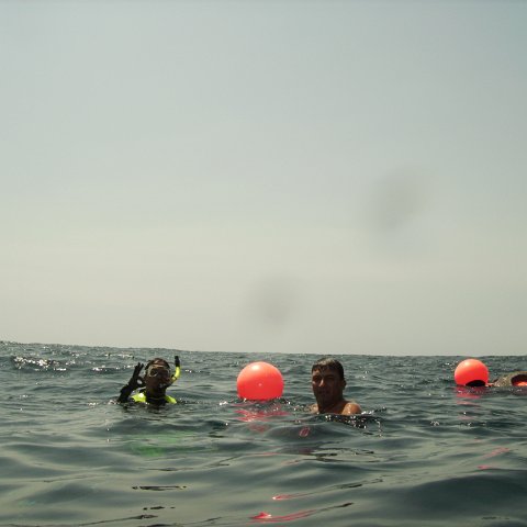 Reef Ball Guatemala Pana Divers 26 Feb. 06 051