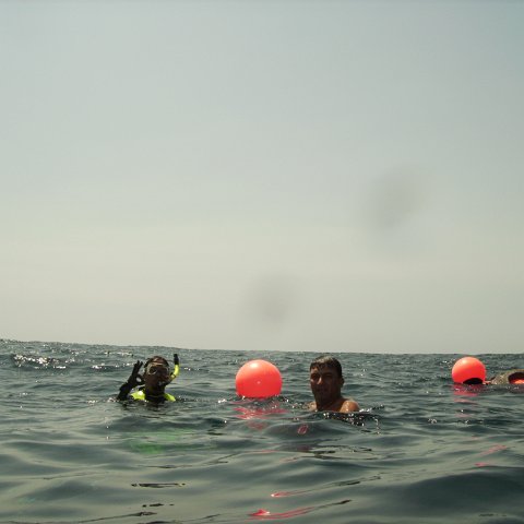 Reef Ball Guatemala Pana Divers 26 Feb. 06 051 Reef Ball Guatemala Pana Divers 26 Feb. 06 051
