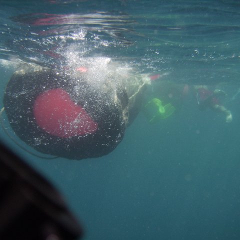 Reef Ball Guatemala Pana Divers 26 Feb. 06 053 Reef Ball Guatemala Pana Divers 26 Feb. 06 053