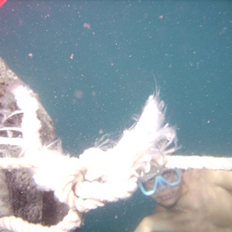 Reef Ball Guatemala Pana Divers 26 Feb. 06 055