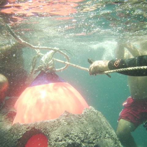 Reef Ball Guatemala Pana Divers 26 Feb. 06 056