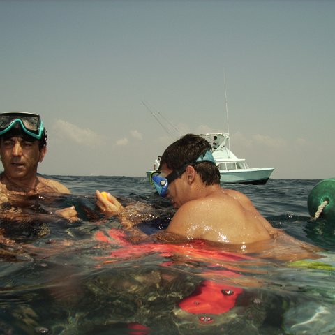 Reef Ball Guatemala Pana Divers 26 Feb. 06 057 Reef Ball Guatemala Pana Divers 26 Feb. 06 057