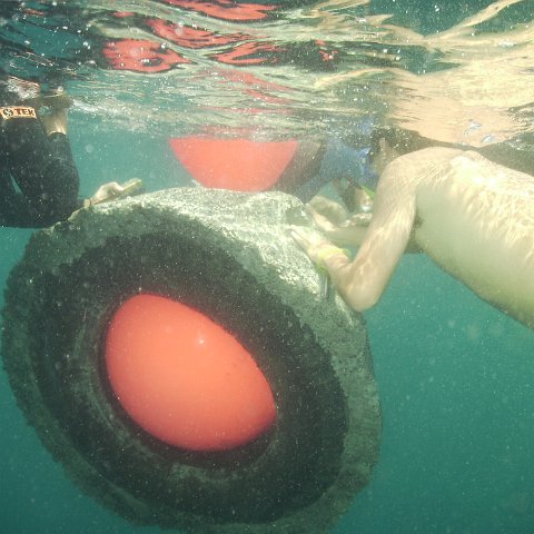 Reef Ball Guatemala Pana Divers 26 Feb. 06 059