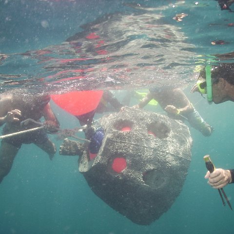Reef Ball Guatemala Pana Divers 26 Feb. 06 060