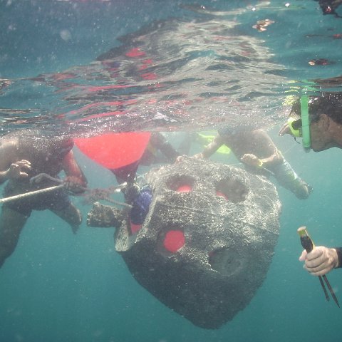 Reef Ball Guatemala Pana Divers 26 Feb. 06 060 Reef Ball Guatemala Pana Divers 26 Feb. 06 060