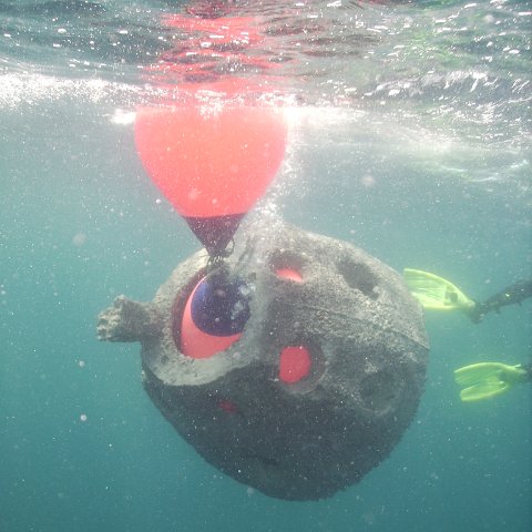 Reef Ball Guatemala Pana Divers 26 Feb. 06 062