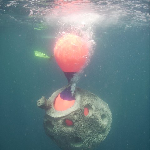Reef Ball Guatemala Pana Divers 26 Feb. 06 064