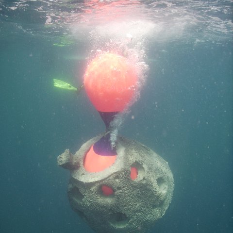 Reef Ball Guatemala Pana Divers 26 Feb. 06 064 Reef Ball Guatemala Pana Divers 26 Feb. 06 064