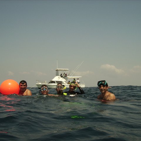 Reef Ball Guatemala Pana Divers 26 Feb. 06 066
