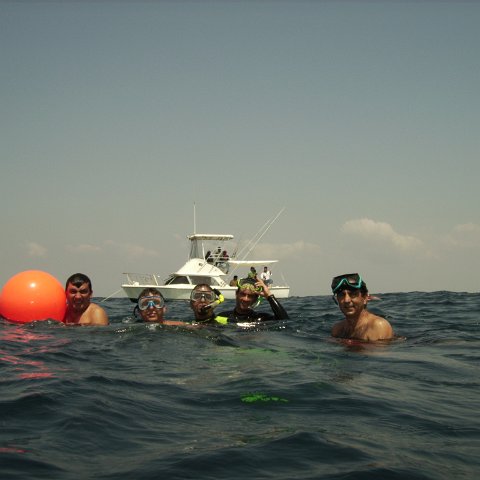Reef Ball Guatemala Pana Divers 26 Feb. 06 066 Reef Ball Guatemala Pana Divers 26 Feb. 06 066