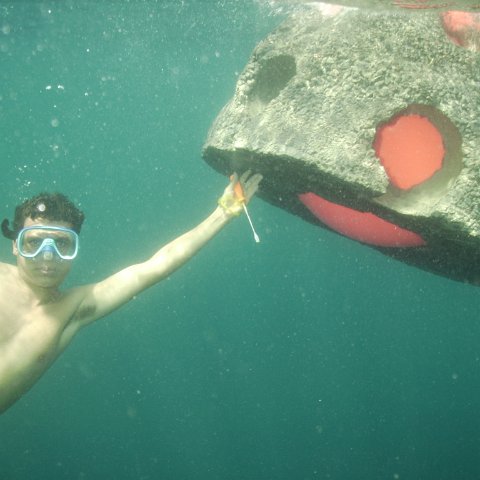 Reef Ball Guatemala Pana Divers 26 Feb. 06 067