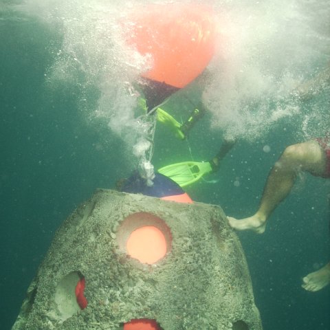 Reef Ball Guatemala Pana Divers 26 Feb. 06 068
