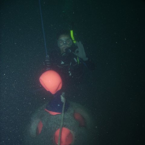 Reef Ball Guatemala Pana Divers 26 Feb. 06 070