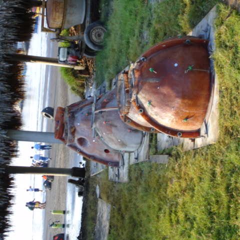 DSC01467 DSC01467