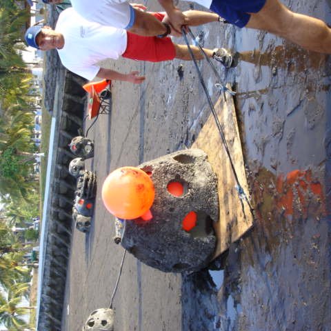 DSC01493 DSC01493