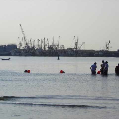 DSC01533 DSC01533