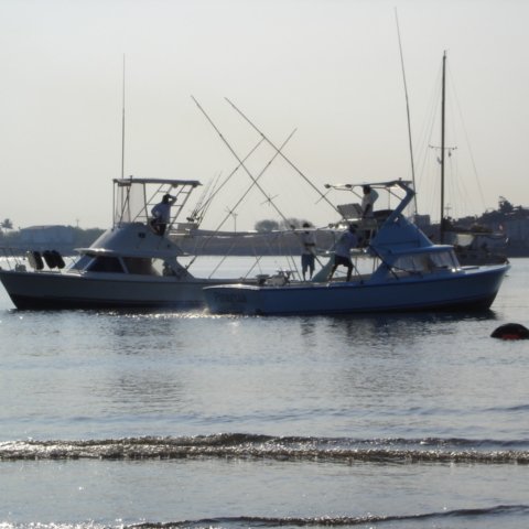 DSC01534 DSC01534