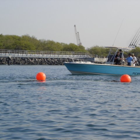 DSC01536 DSC01536