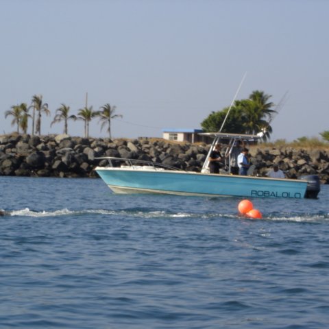 DSC01540 DSC01540