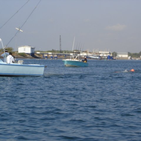 DSC01543 DSC01543