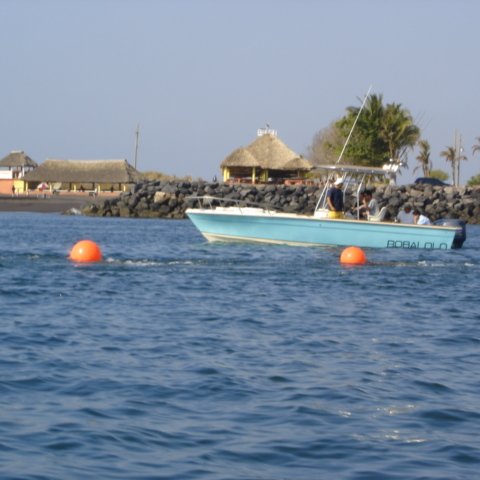 DSC01545 DSC01545