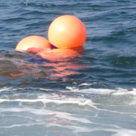 DSC01549 DSC01549