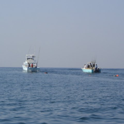 DSC01556 DSC01556