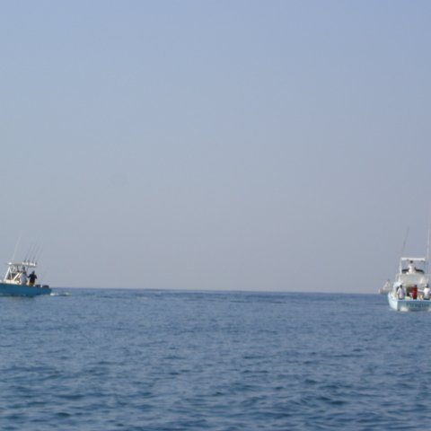 DSC01557 DSC01557