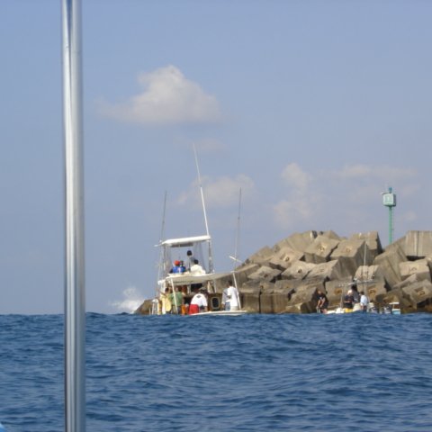 DSC01558 DSC01558