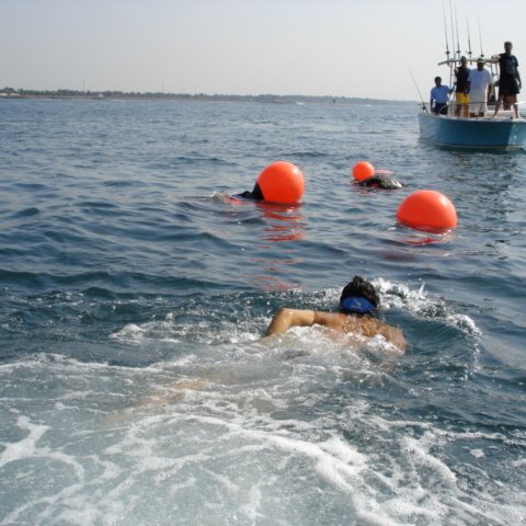 DSC01559 DSC01559