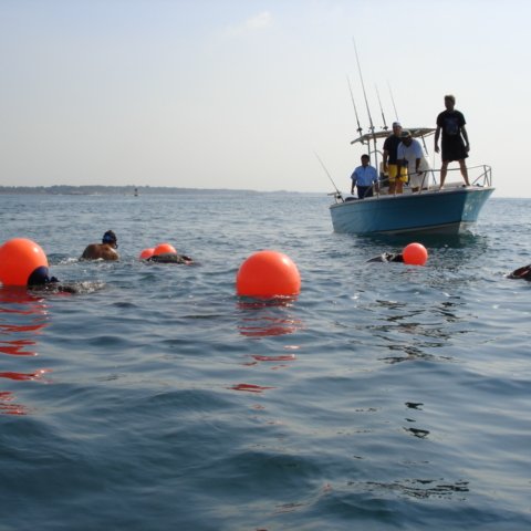 DSC01560 DSC01560