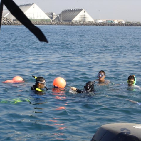 DSC01562 DSC01562