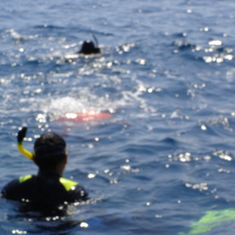 DSC01572 DSC01572