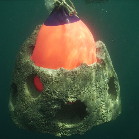 guatemalapanadiversphotos_041